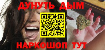сатива Гатчина