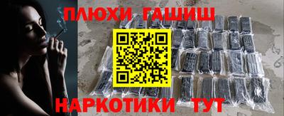 сатива Гатчина