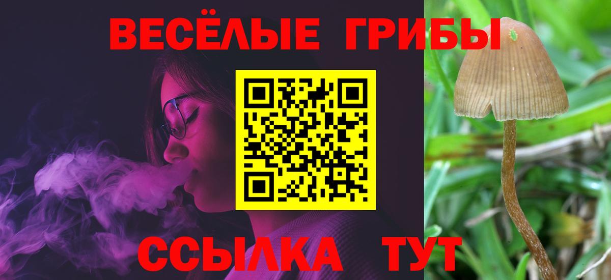 Галлюциногенные грибы мухоморы  Вход с VPN  Дербент 
