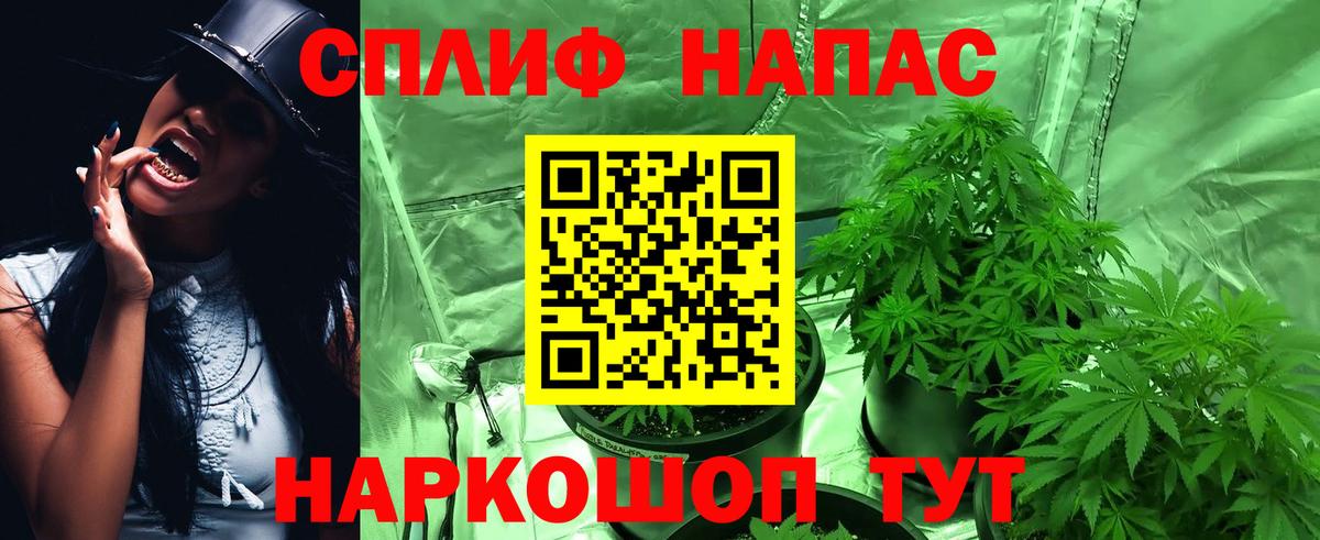 Каннабис индика  Вход с VPN  Дербент  Бошки марихуана Amnesia  Бошки Шишки конопля  Каннабис VHQ 